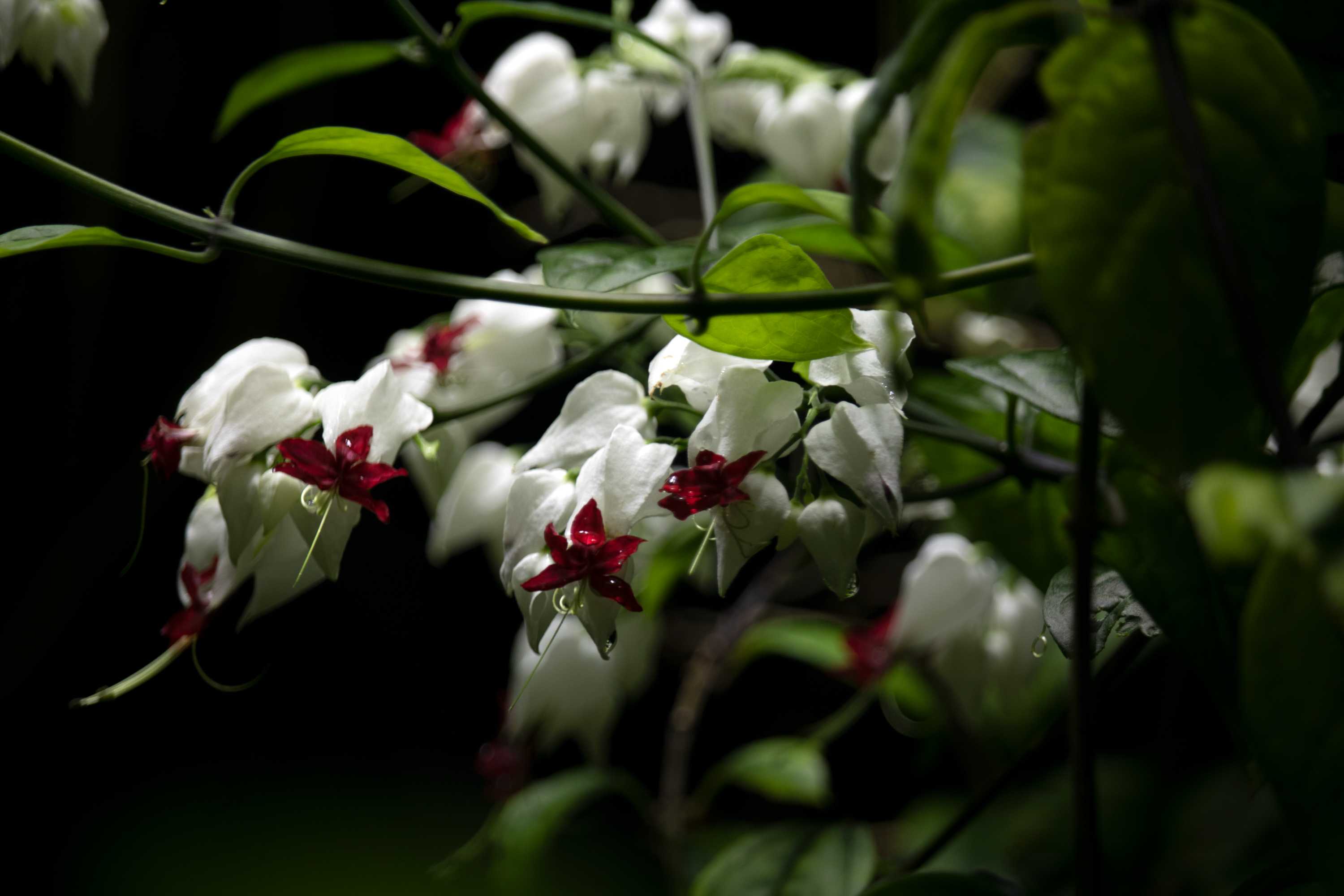 2023 Photo 28